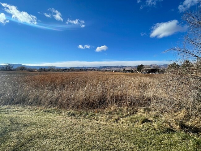 Building Photo - Cozy Condo with Lake Views in GunBarrel