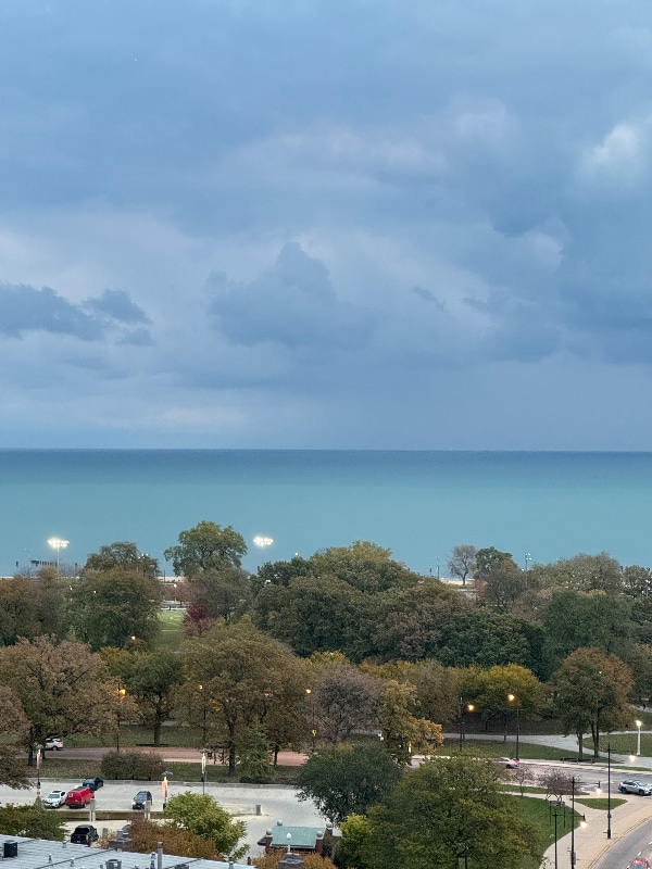 Photo - 1636 N Wells St Apartment