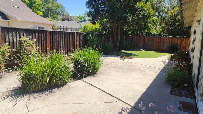 Patio trasero - 3986 Fairlands Drive