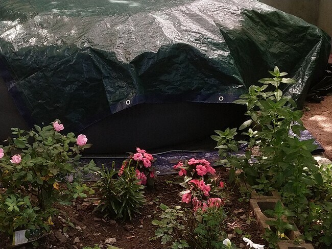 Enjoy the hot tub - 24 Jervis Rd