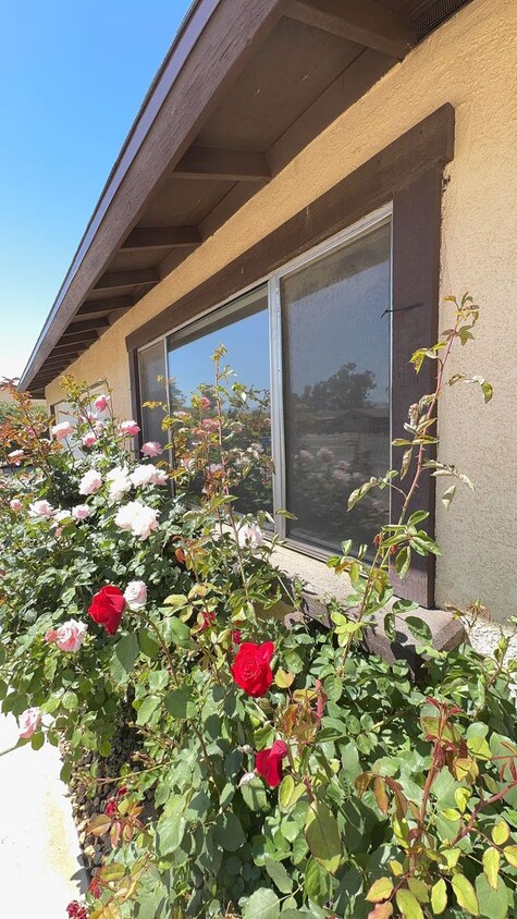 Primary Photo - NEWLY UPDATED APPLE VALLEY HOME