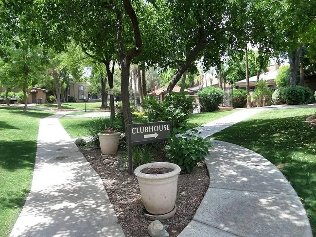 Foto del edificio - 3825 E Camelback Rd