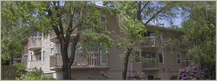 Primary Photo - 1 bedroom in Seattle WA 98117