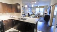 This single-story residence features an open-concept layout that integrates the kitchen and living areas into one cohesive, functional space. The kitchen is outfitted with dark espresso cabinetry, light granite countertops, and a double stainless steel sink set into a peninsula that serves as both a workspace and a natural divider between cooking and living zones. A dishwasher is integrated beneath the counter, and pendant lighting with a track rail system overhead provides focused task illumination. The cabinetry extends to the upper walls, offering generous storage capacity.

The transition into the living area is seamless, where a ceiling fan with a light fixture anchors the room from above. A large window along the far wall allows natural light to fill the space, creating a bright and welcoming atmosphere. The living area accommodates a comfortable seating arrangement, complete with a patterned area rug, accent lamps, and framed artwork on the walls, contributing to a polished, well-designed aesthetic. The combination of tile and hardwood-style flooring throughout adds visual contrast and practical durability to the overall interior.
