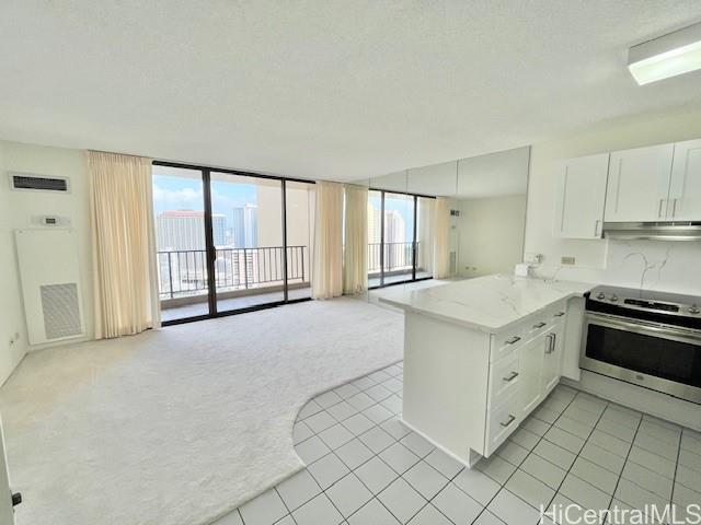 Building Photo - 411 Hobron Ln