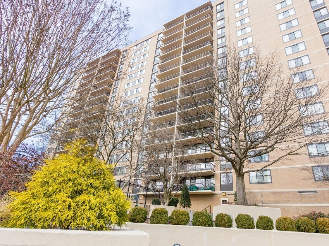 One Bedroom at Place One Condo in Alexandria - One Bedroom at Place One Condo in Alexandria