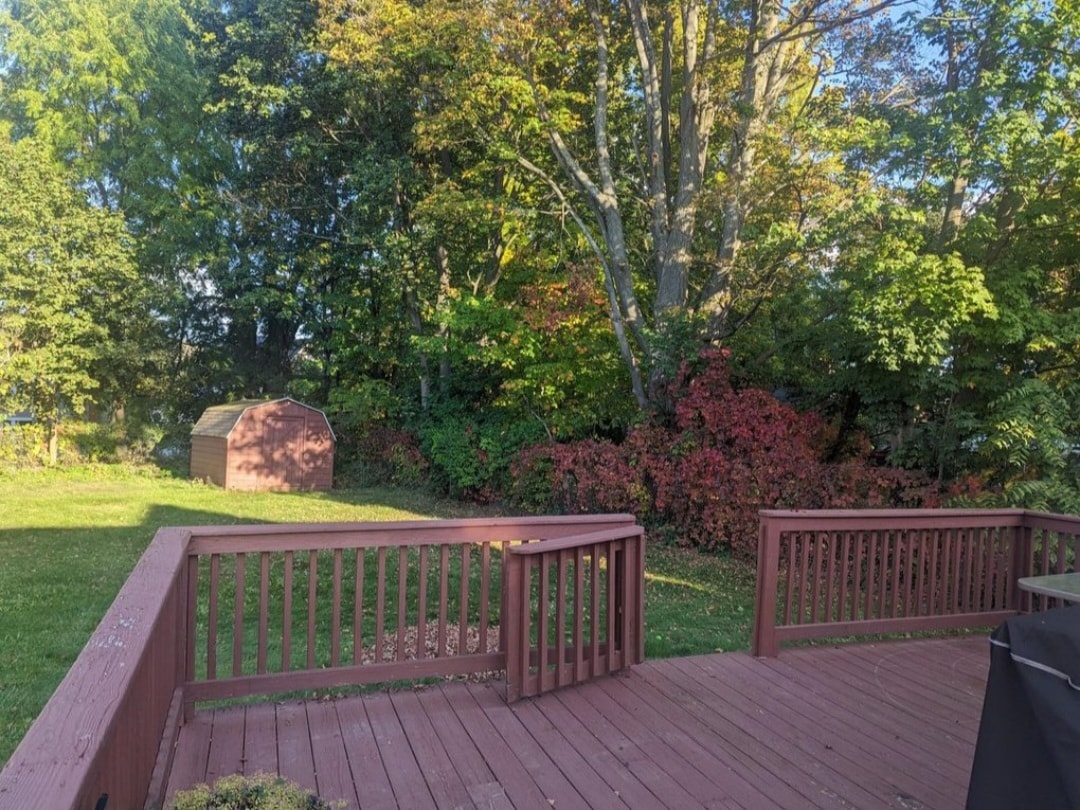 384 S Division St, Hornell, NY 14843 House Rental in Hornell, NY