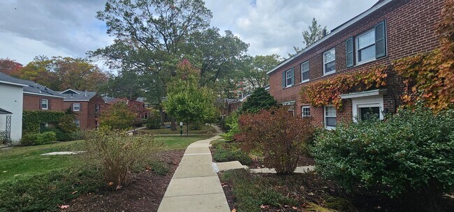 Building Photo - XL Luxury 1 Bed Townhome with Laundry in U...