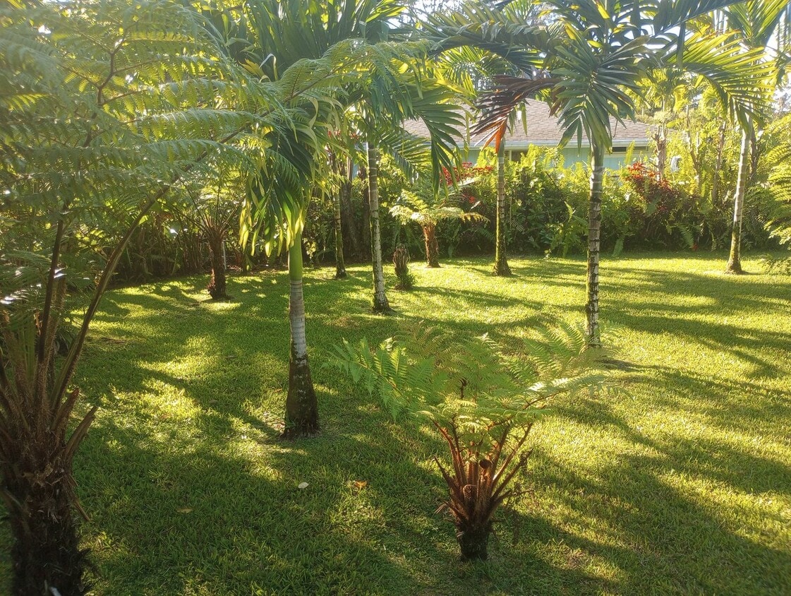 Primary Photo - 1bd & 1 1/2 ba Fully Furnished & Move in R...