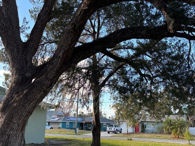 Foto del edificio - 4515 Needle Palm Dr