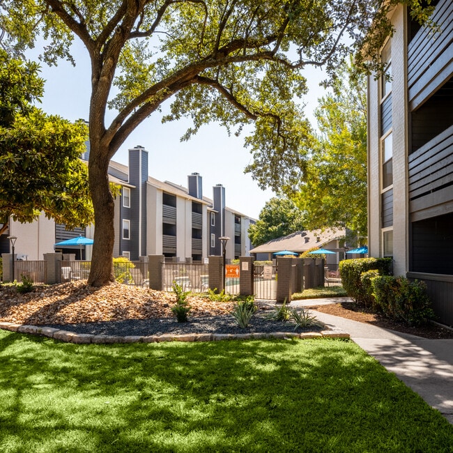 Stassney at SoCo Apartments in Austin, TX