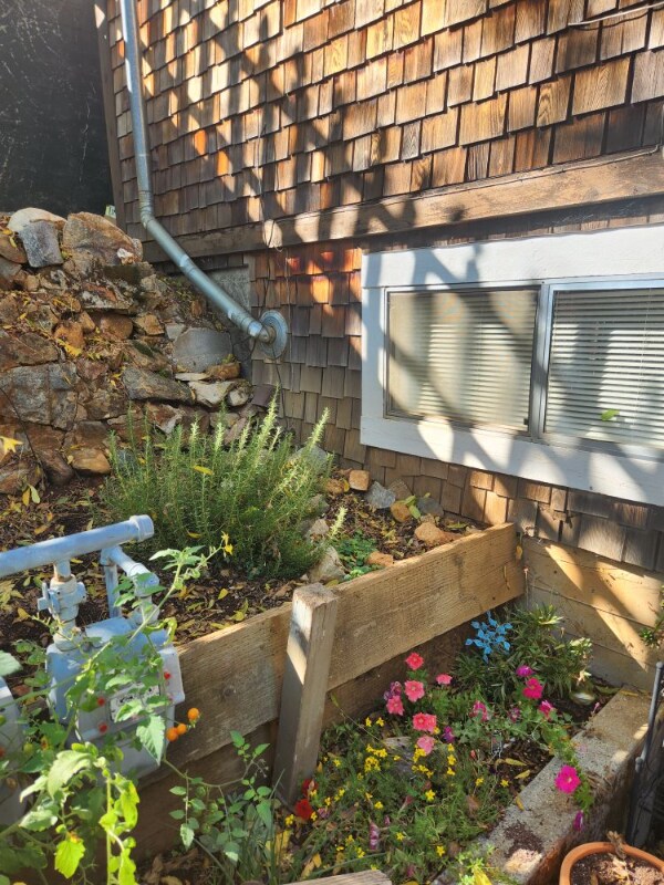 Foto del edificio - 315 N School St