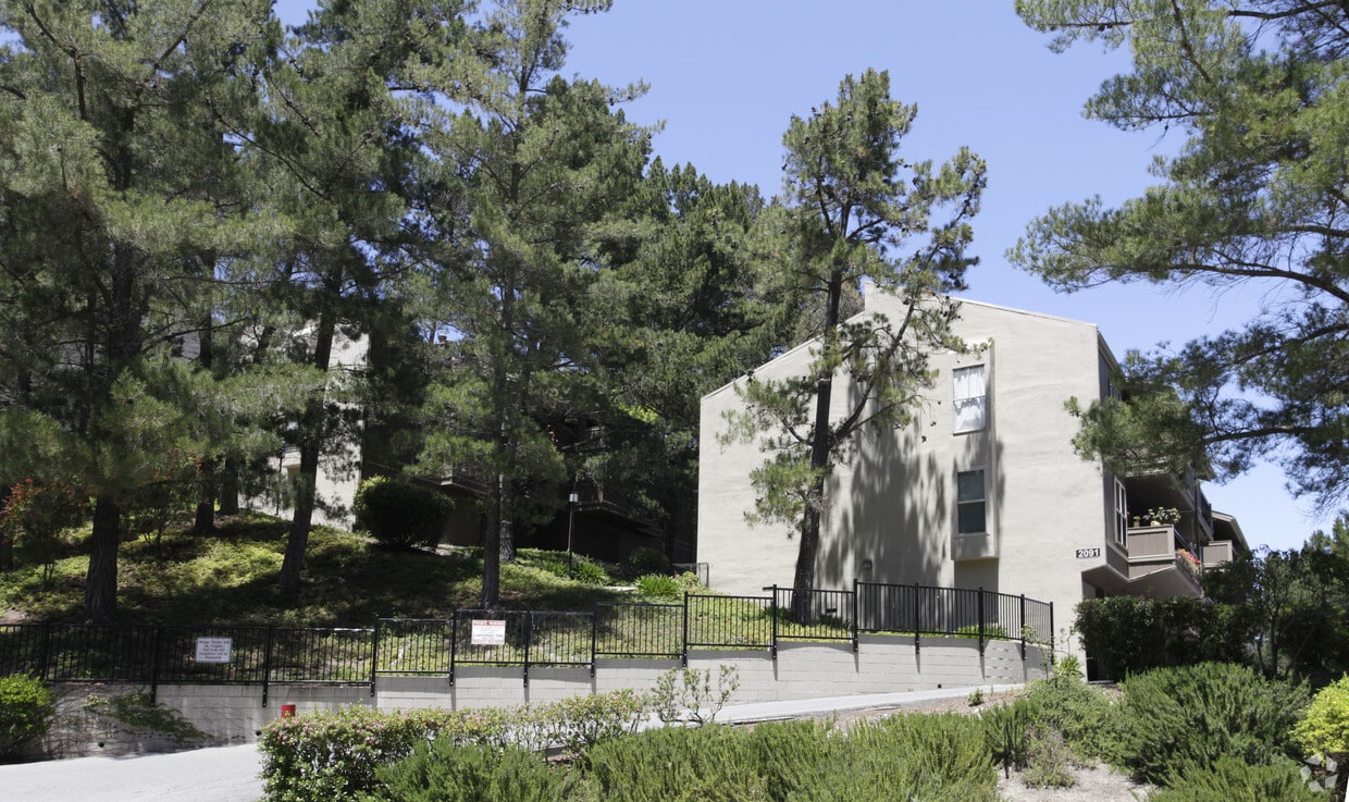 Moraga Terrace Apartments in Moraga, CA