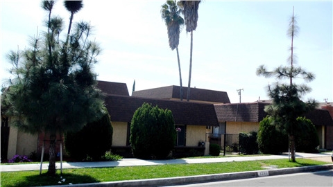 Foto principal - Pine Street Apartments