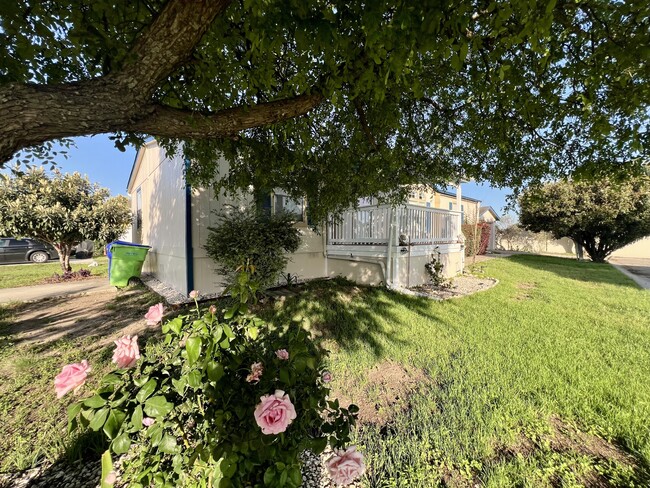 Building Photo - 11555 Culebra Rd