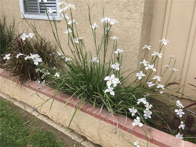 Foto del edificio - Spacious 3BR/2BA Tarzana Home with Lush Yard & Sunny Patio