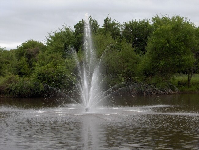 Pond with Fountain - 1304 Piedmont Dr