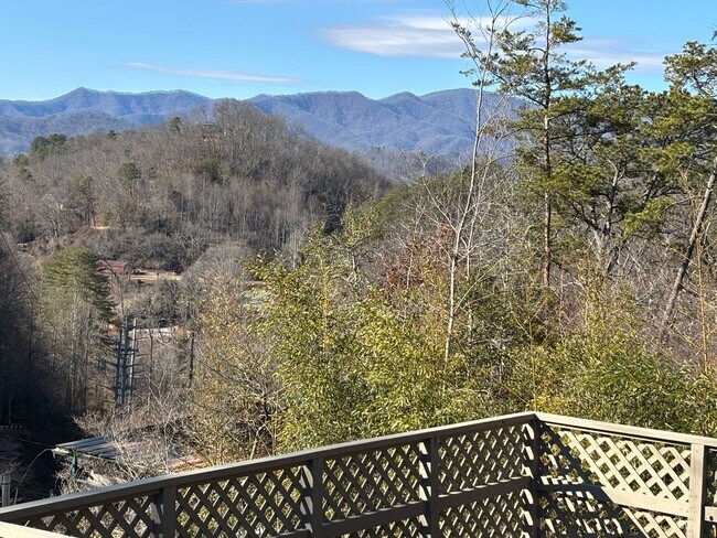 Foto del edificio - Beautiful 3/2 remodel on 3/4 of an acre