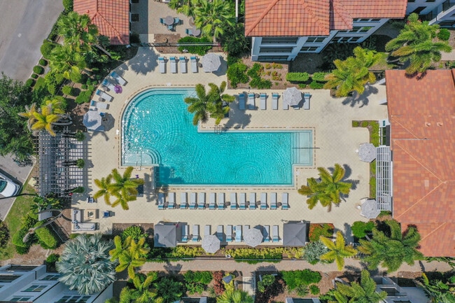 Building Photo - Amelia at Westshore
