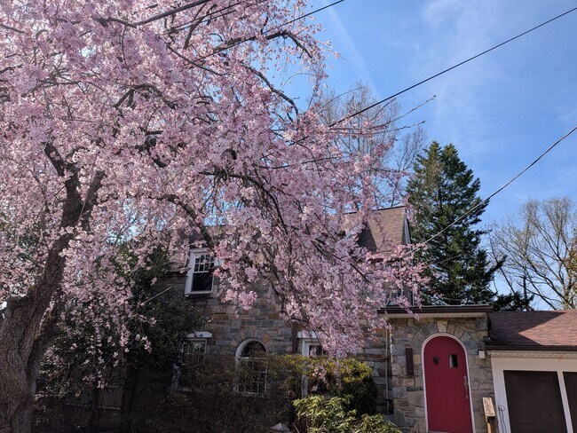 Foto del edificio - 7314 University Ave