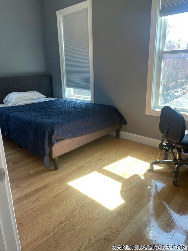 Foto del edificio - 339 Cambridge St