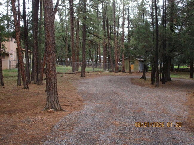 Building Photo - 1415 Flores Dr