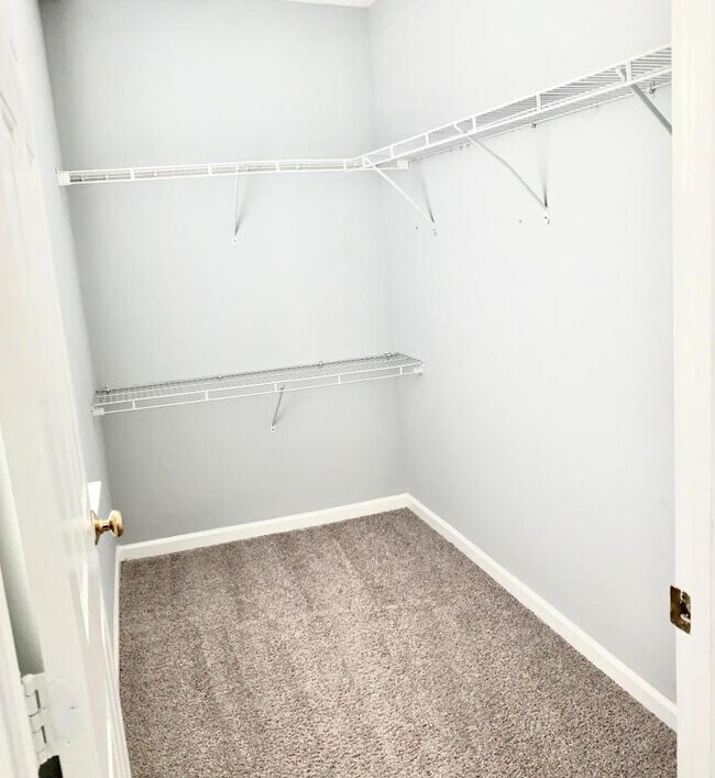 Building Photo - 3109 Ebony Crt