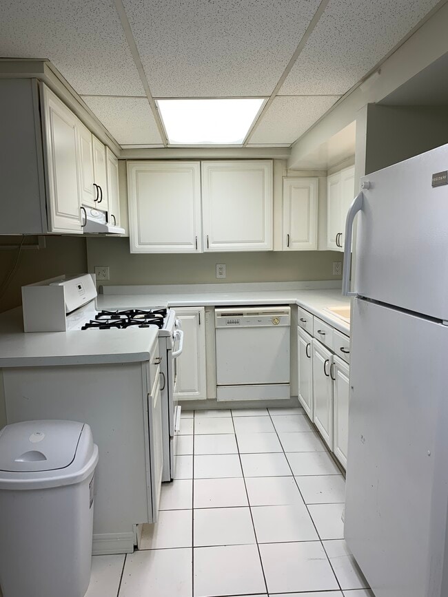 Kitchen - 1321 W Thorndale Ave