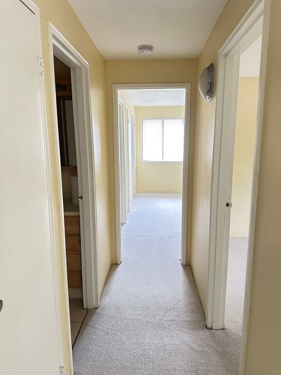 Foto del edificio - 10 Village Hill Ln