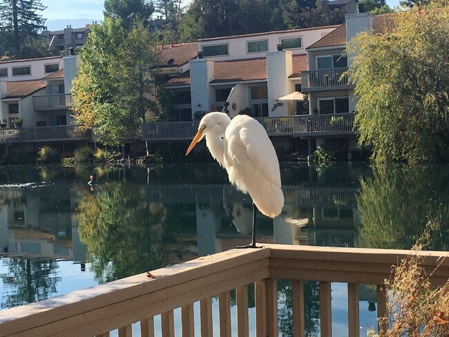 Building Photo - Gorgeous 2BR 2BA Lake front Townhouse in L...