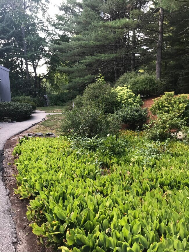 Building Photo - 42 Brookside Dr