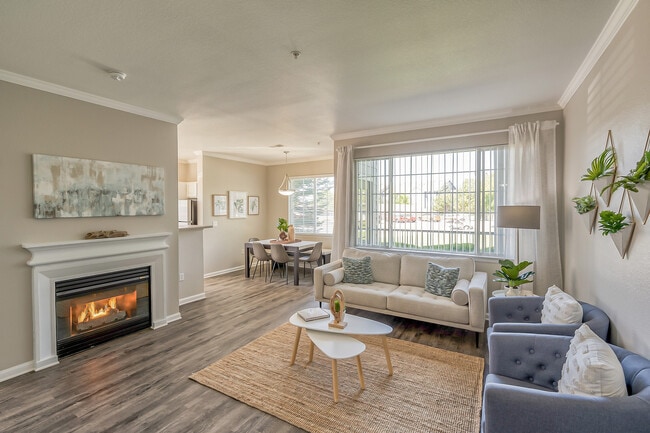 Living Area - Dove Valley