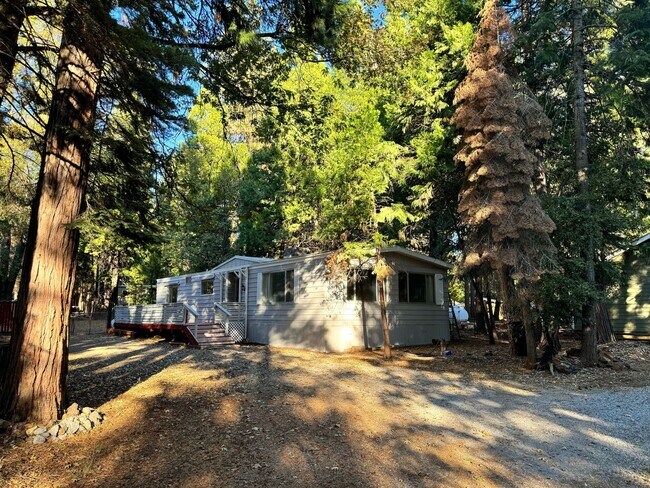 Foto del edificio - Cozy Mountain Rental!