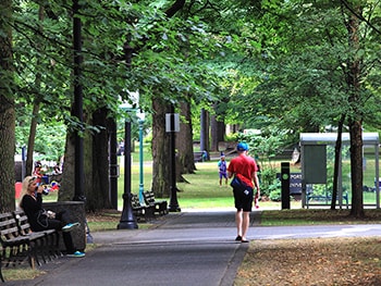 Interior Photo - JEANNE MANOR APARTMENTS (JEAN01)