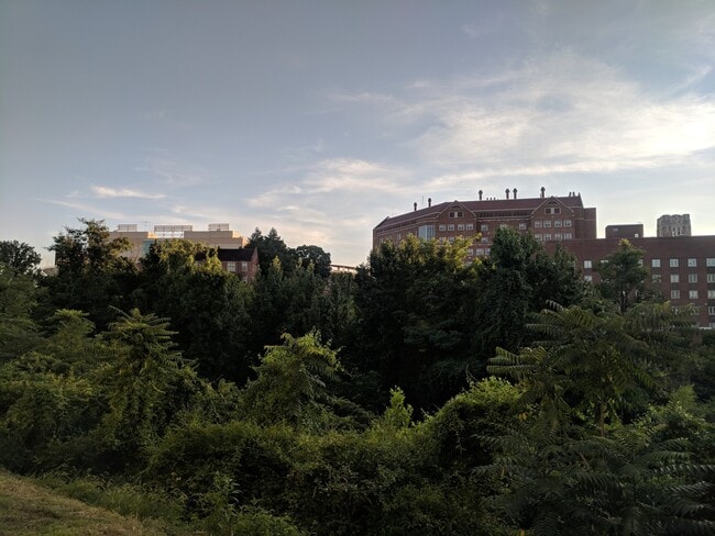 Foto del edificio - 1 Bedroom Condo Near UTK | Walk to Campus ...
