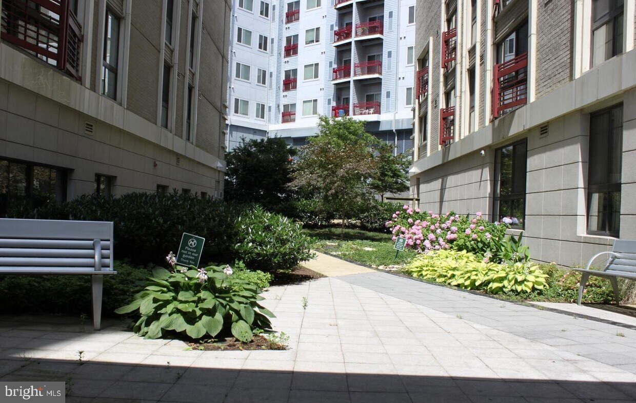 7915 Eastern Ave Unit 607, Silver Spring, MD 20910 Room for Rent in