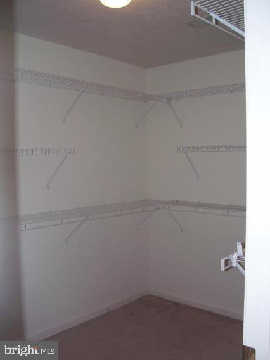 Building Photo - 3173 Hidden Ridge Terrace