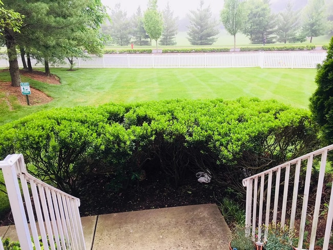 View from porch - 137 Salem Rd