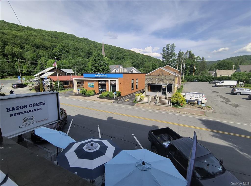 49 Stewart Ave Unit 1, Roscoe, NY 12776 Room for Rent in Roscoe, NY