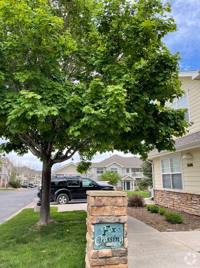 Building Photo - 3606 Ponderosa Ct