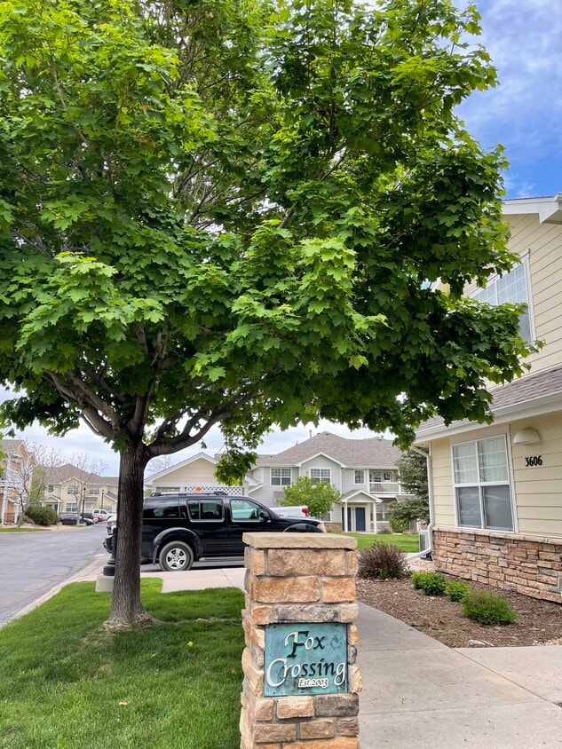 3606 Ponderosa Ct Unit 6, Evans, CO 80620 Condo for Rent in Evans, CO