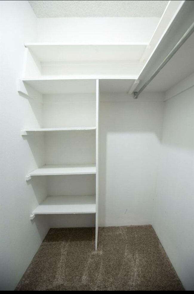 Walk In closet - 700 Woodside Ln E