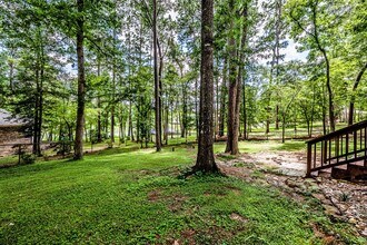 Building Photo - 1801 Camellia Ct