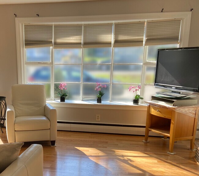 Sala de estar - 110 Dobson St