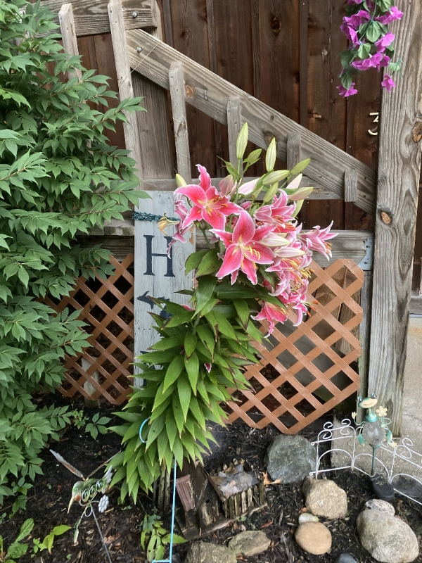 Building Photo - 6257 Smith Rd