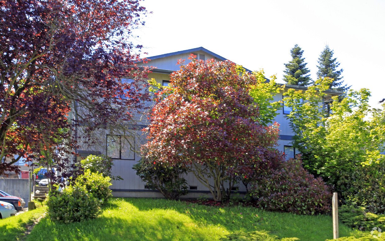 Foto del edificio - 3322 LOMBARD Ave
