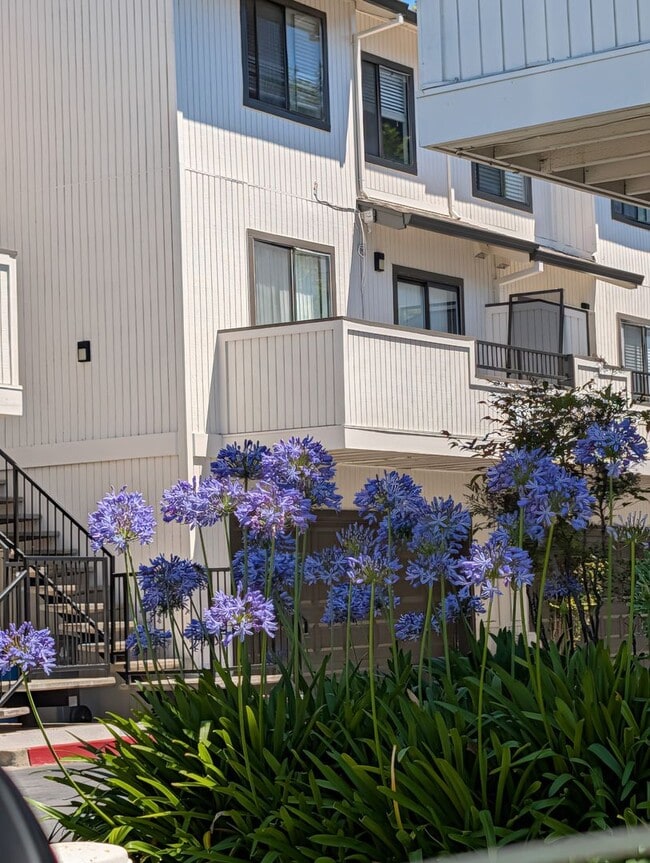Building Photo - 1 Frisbie St