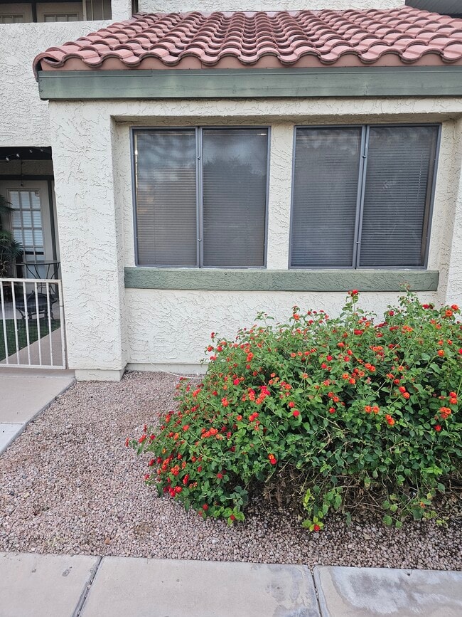 Front area, in front of second bedroom windows - 30 E Brown Rd