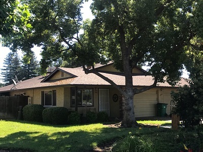 Primary Photo - 2812 Morseman Ave