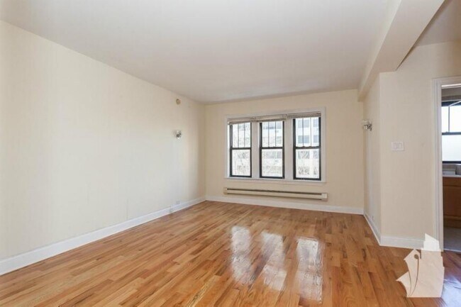 Foto del edificio - 0 bedroom in Chicago IL 60610
